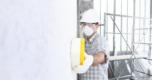 Best Residential Mold Inspection & Testing  in East Lake, FL